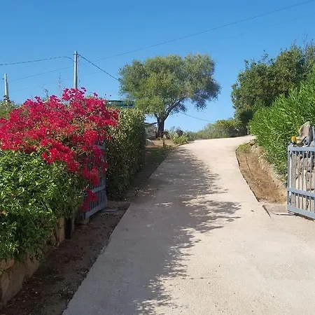Sara Apartman Olbia